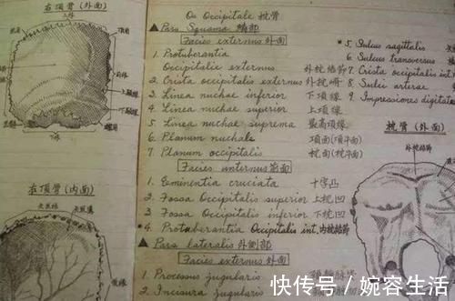 计划表|学霸的“草稿纸”火了,“自律”的孩子,人生就像是开了挂