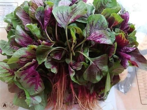 超市|超市常有的3种食物，排毒养颜，滋润肌肤，好处多多！