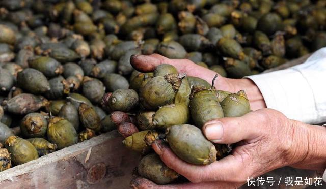 亚硝基|美国全面禁售的食物,却让中国6000万人吃上瘾?看完后你还敢吃吗