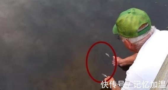 农民|农民大叔不好好钓鱼却伸手进水里，众人嘲笑他，结果却令人吃惊
