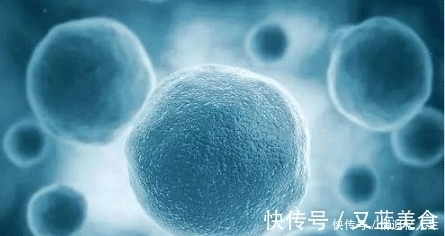 完结|这本800万字的小说,从主角是一个单细胞写起,到现在还未完结