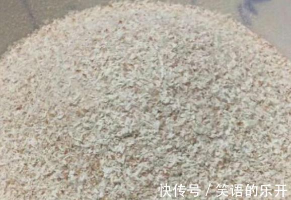 教你用鸡蛋壳养花的6个小技巧,学会了植物枝繁叶茂