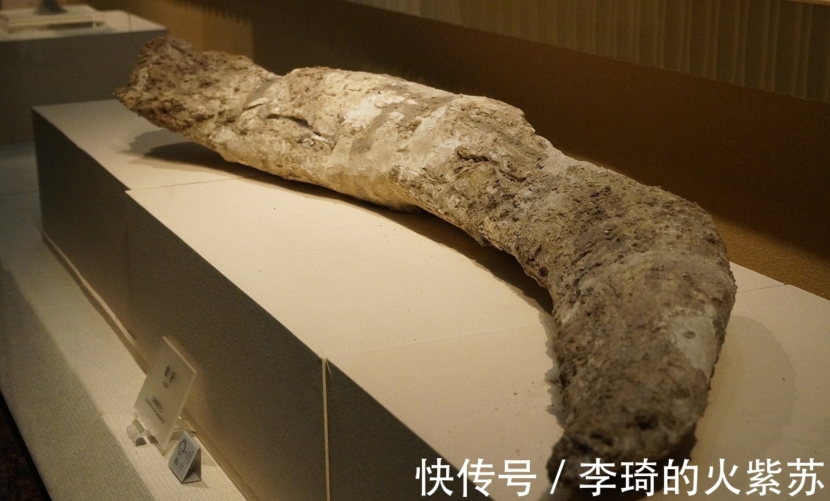 古蜀国$三星堆挖出华夏文明的真相,山海经竟然是古文明史书