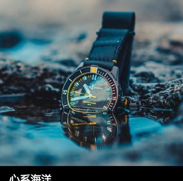 机芯|心系海洋 品鉴雅典柠檬鲨潜水表