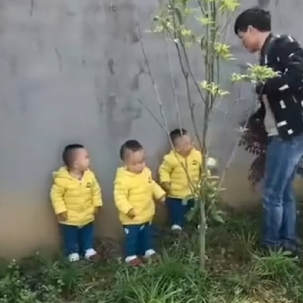 三胞胎|爸爸叫三胞胎回家吃饭,有一种“赶鸭子”的架势,画面太有趣了