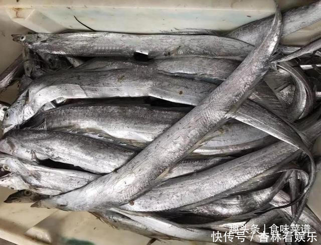 带鱼里吃出一节骨头,像牙齿一样,摸起来硬硬的,你知道原因吗