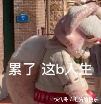 |搞笑女居然也能和帅哥有爱情?救命有被狠狠甜到……