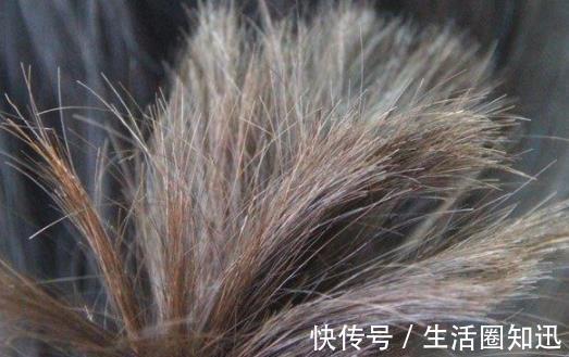 发质|头皮油发尾干是什么发质 吹风筒对头发发质的损伤