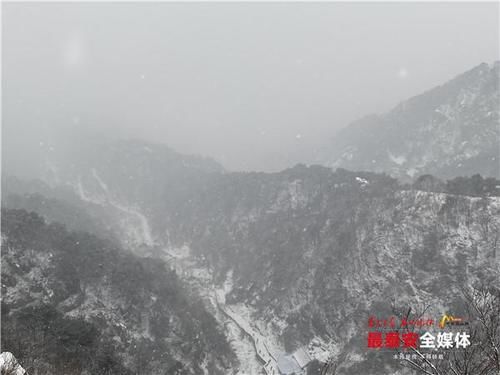 下雪|泰山又下雪啦！青山原不老，为雪而白头