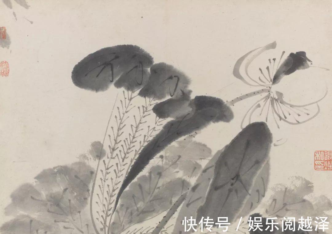 八大山人|八大山人的荷花,独自清凉