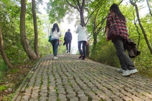 肠胃疾病|看似养生的7个习惯，正在悄悄“偷”走健康，不少人被蒙在鼓里