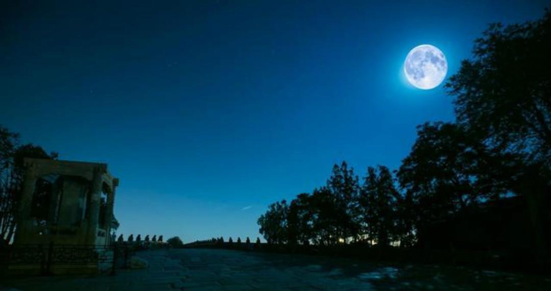 王维名句“月出惊山鸟”,明明月色没有声音,为何会惊动栖息的鸟