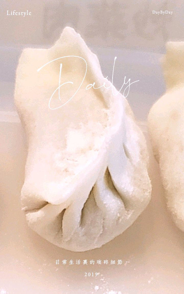 肉馅|茄子馅饺子