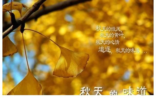 一场寒|一场秋雨一场寒
