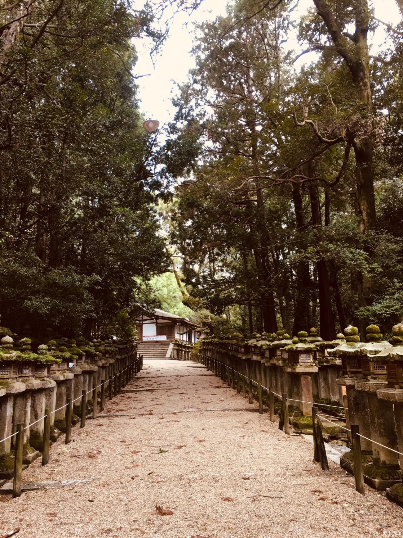 往日旅途时光系列之----初探东瀛