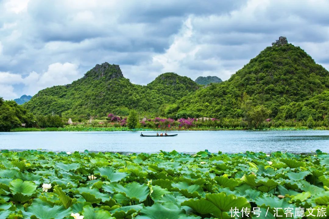 荷花|20000亩荷花竞相绽放，云南这个鲜有人知的秘境，美爆夏天！