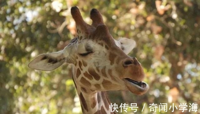 24个冷知识：生物老师看完直呼不可思议，但却真实存在的有趣知识。