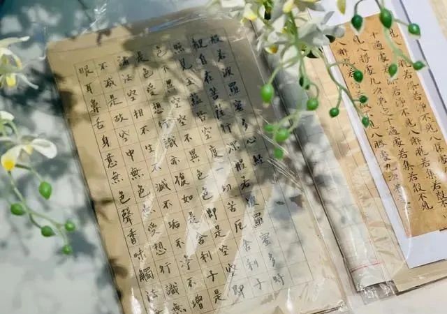 明星大咖|不老“男神”陈坤秀书法,行书洒脱飘逸,字如其人,楷书端正大气