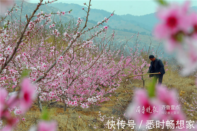 芳华|拥抱今天，不负芳华！你，就是这春光中最好的风景