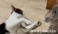 |搞笑 老实交代,你上一个女朋友是怎么甩的?