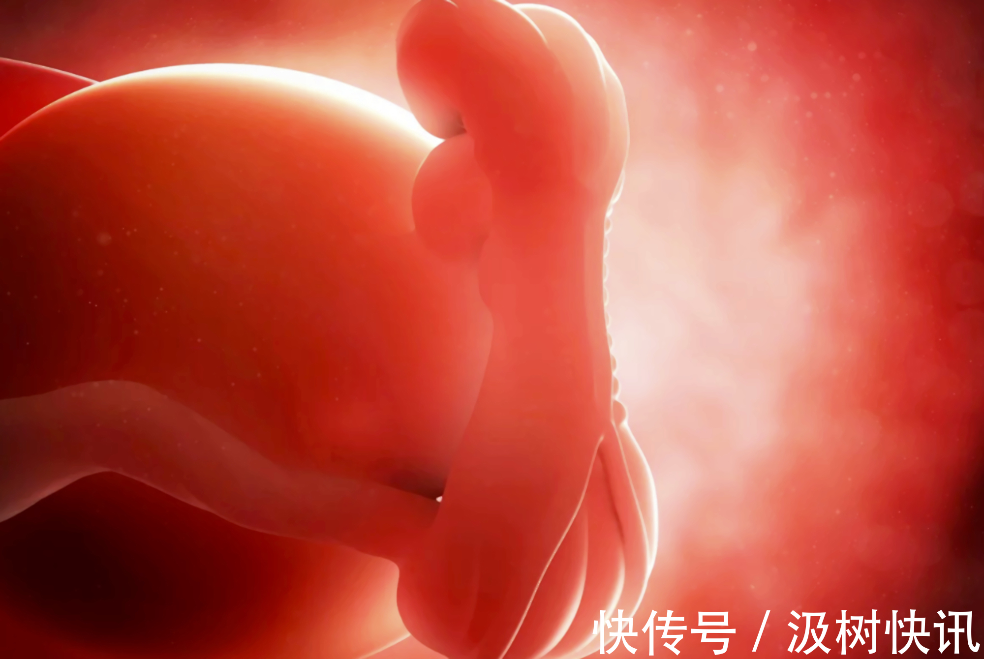 手术|“她27岁,打胎17次”,妇产医生的讲述,引出了被流产毁掉的女孩