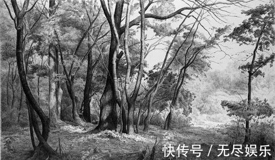 圆珠笔$极品六大钢笔画,我是一张张跪着看完的,简直美爆