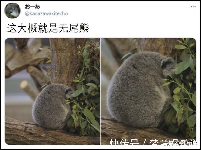 史塔克先生|梗图合集:史塔克先生,这太酷了,而且我很舒服