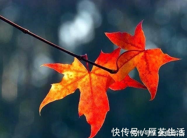老无所依!人到六十,我们要做好老无所依的准备,原因很现实,写完流泪了