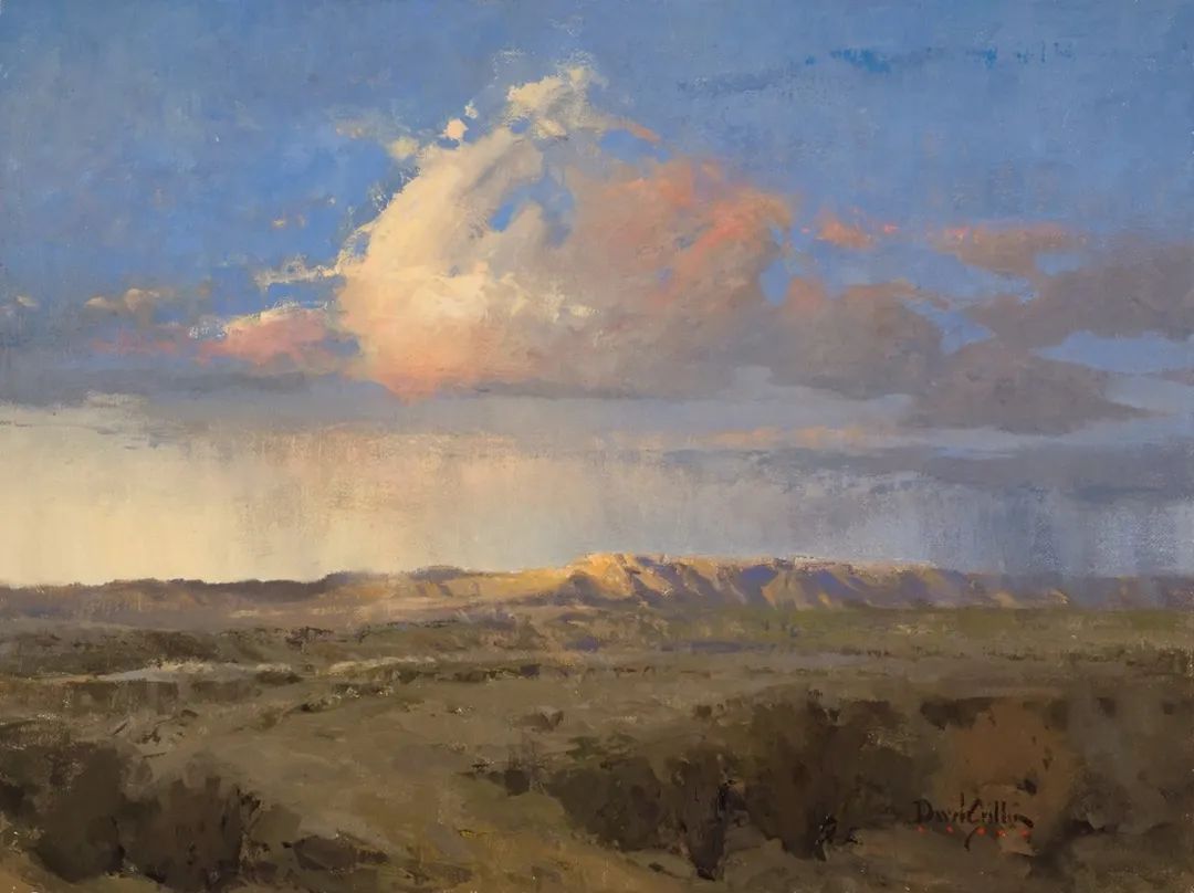 德克萨斯州#大卫·格里芬的风景油画高清图,放大看,更迷人