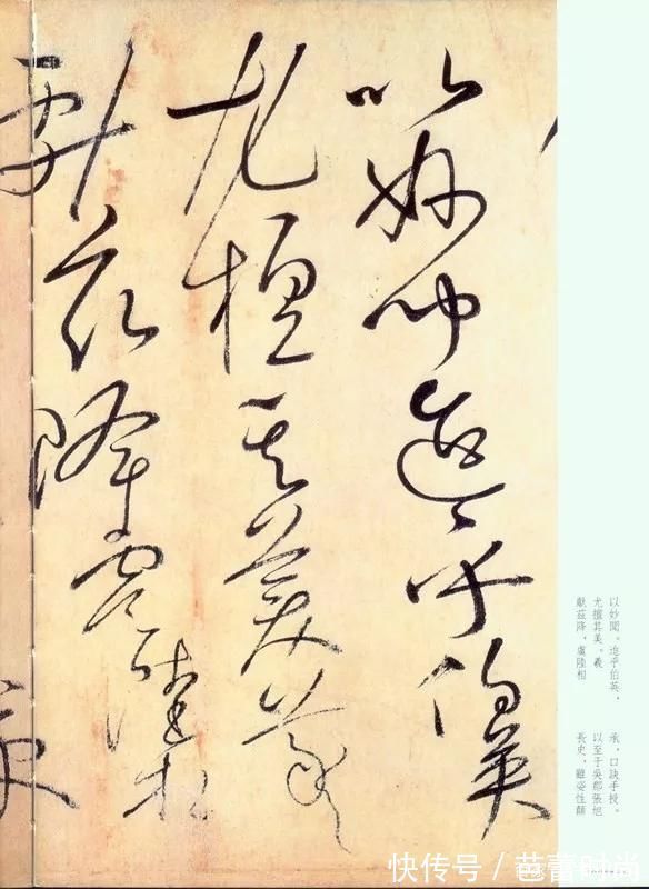 宋苏舜钦!怀素《自叙帖》奔蛇走虺势入座,骤雨旋风声满堂