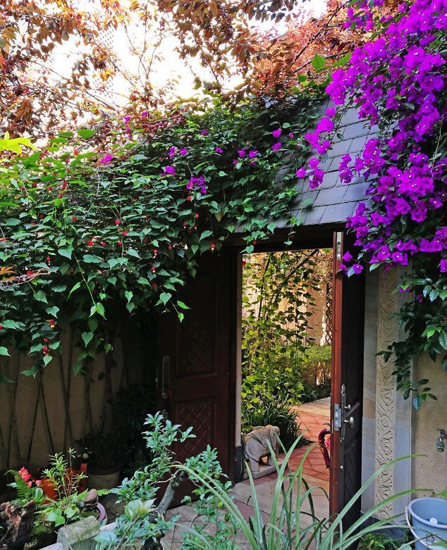 等我们老了,找个院子,清晨养花,傍晚喝茶。