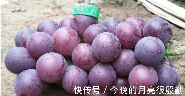 生鲜类|姑娘网购上瘾, 18元买一箱“精品葡萄”, 打开快递, 网友笑喷了
