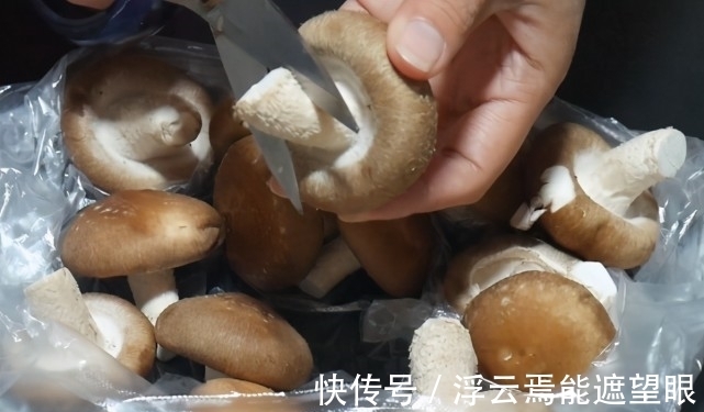 香菇只用清水洗,等于吃“虫卵”,教你一窍门,脏东西虫卵全跑光