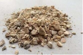 君子兰换盆，盆里埋“1种东西”，能养根，叶纹如网，一年2次花