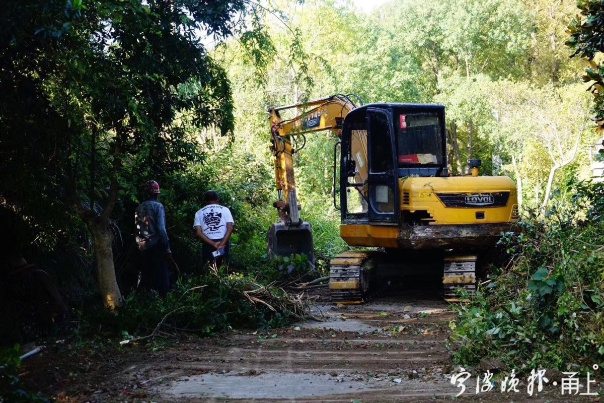 紫云路|象山230位花友众筹10多万元，打造了一条网红“绣球路”