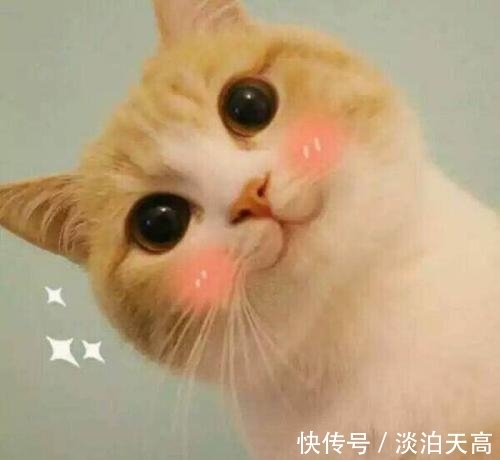 |幽默段子:自从挖出了它,我感觉,我以后的人生都要变了