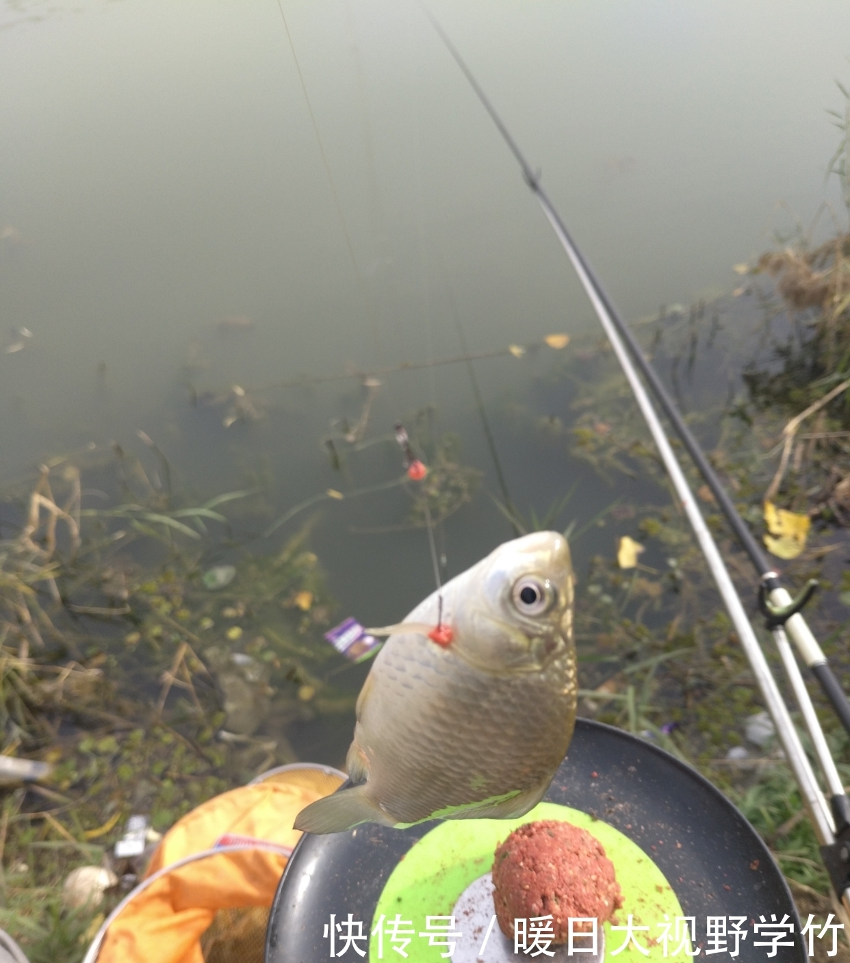 带钩调漂如何调