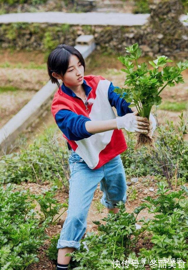 中餐厅怎么处理客人吃剩的和向往比起来,节目组真的太缺钱了