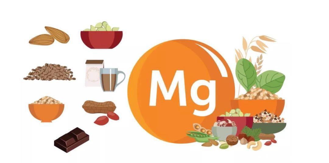 中老年人要注意多吃“镁”食