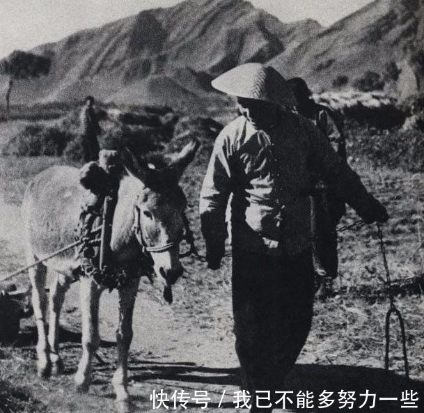 日本|冒充中国人的日本间谍,起的中国名字滑稽可笑,一做任务必然失败