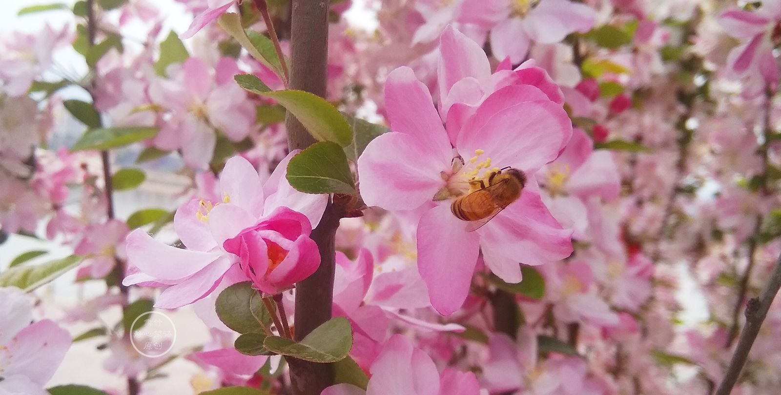 因为热爱，再平淡的生活都那么值得珍惜