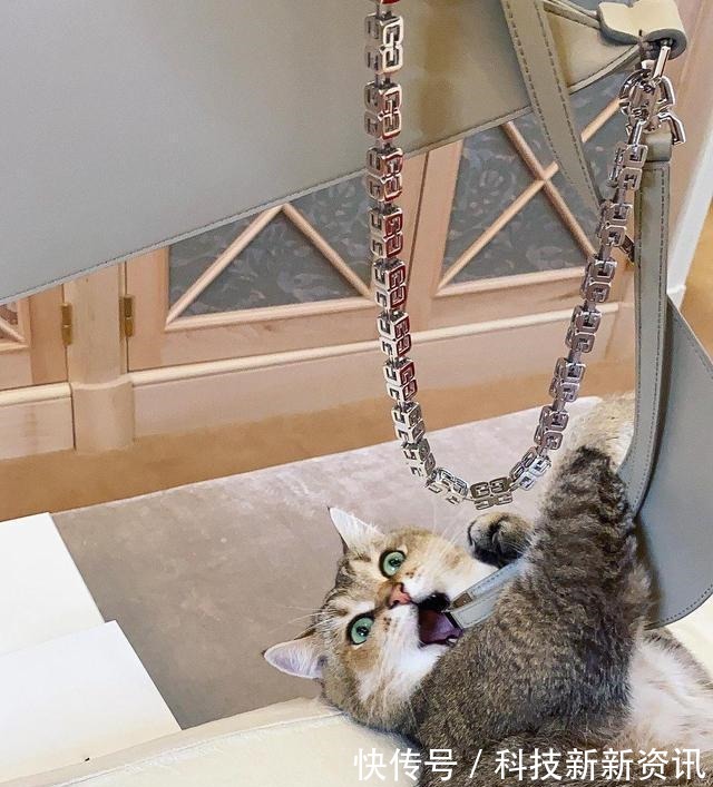 纳塔利·沃佳诺娃 LV太子妃婚后在家拍大片,穿挂脖裙配羊角高跟鞋,拿奢侈包逗猫!