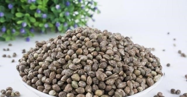 strong|便秘不想用开塞露营养师多吃3物，隔天拉得又快又多