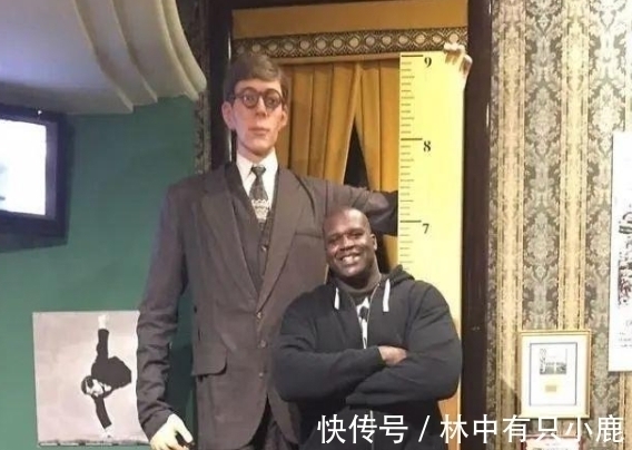 蜡像馆|身高2米72!奥尼尔和他合影矮半米,看到图才知道什么叫第一巨人