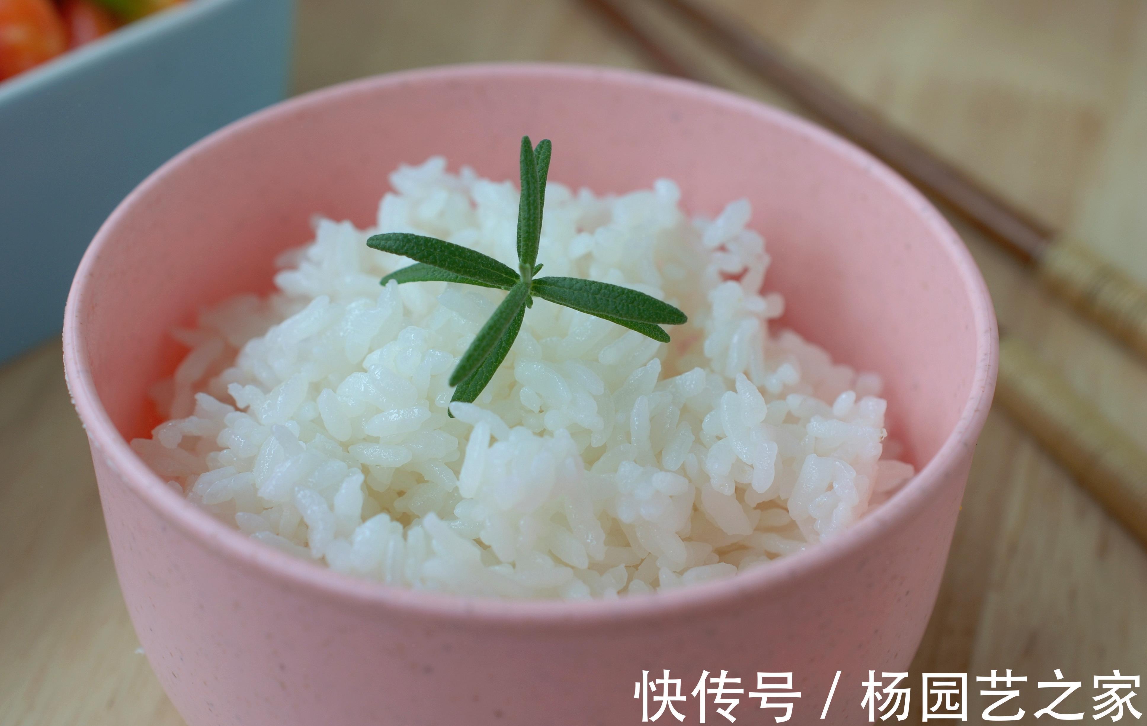 饭菜|16岁的儿子183,和我家的一日三餐有关,这饭菜,你觉得如何?