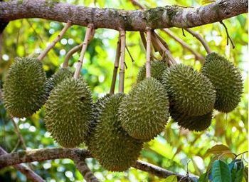 滋补|女性不愿老太快，要坚持吃3种食物，营养丰富、滋补身体！