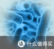 牙刷消毒器|哪款牙刷消毒器使用体验更佳？对比测试后还是东菱更胜一筹