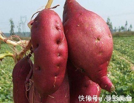 收藏红薯有诀窍,这样做红薯不腐烂不发芽,放一年也不会坏!