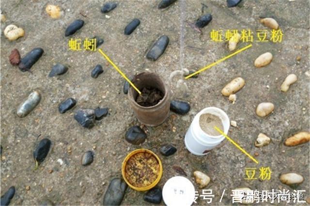 野钓秘方:秋天用蚯蚓钓鲫鱼,最好增加2个步骤,咬钩量翻一番