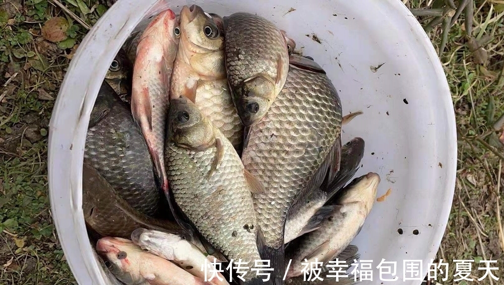 冬季这3天气不要出钓,大概率空军,钓不到鱼,只能挨冷受冻!